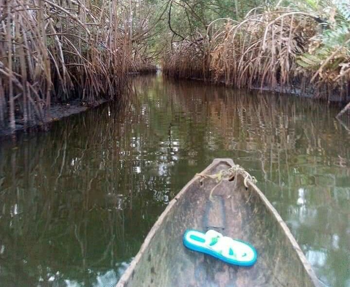 Des explorateurs pirates dérobent les vestiges de la « Route des esclaves »