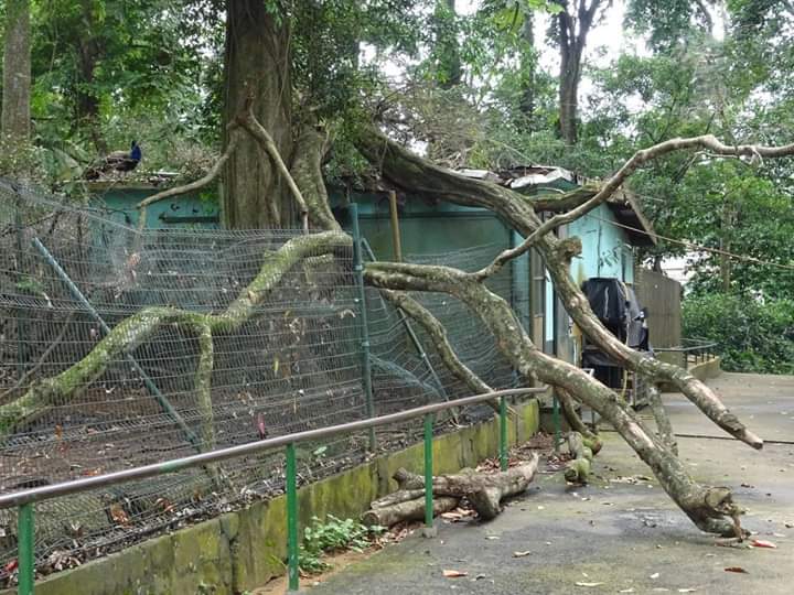 Zoo d’Abidjan : La maltraitance des animaux dénoncée par le ministère