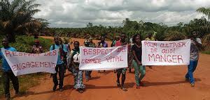 Lutte contre la déforestation : multinationales et ONGs locales ont leur part à jouer