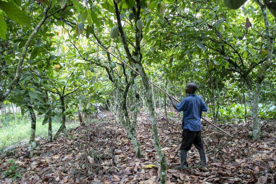 SARA 2019 : Mobilisation pour une protection collaborative de la biodiversité