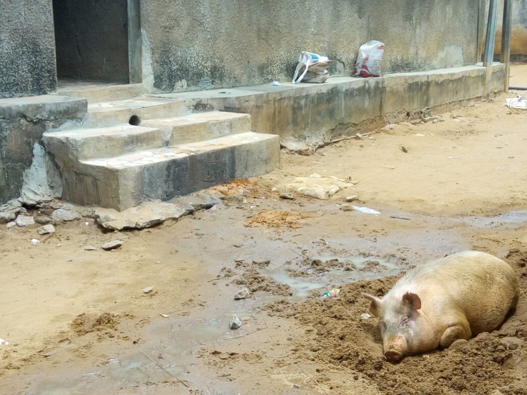 Yopougon Mamie fêtê